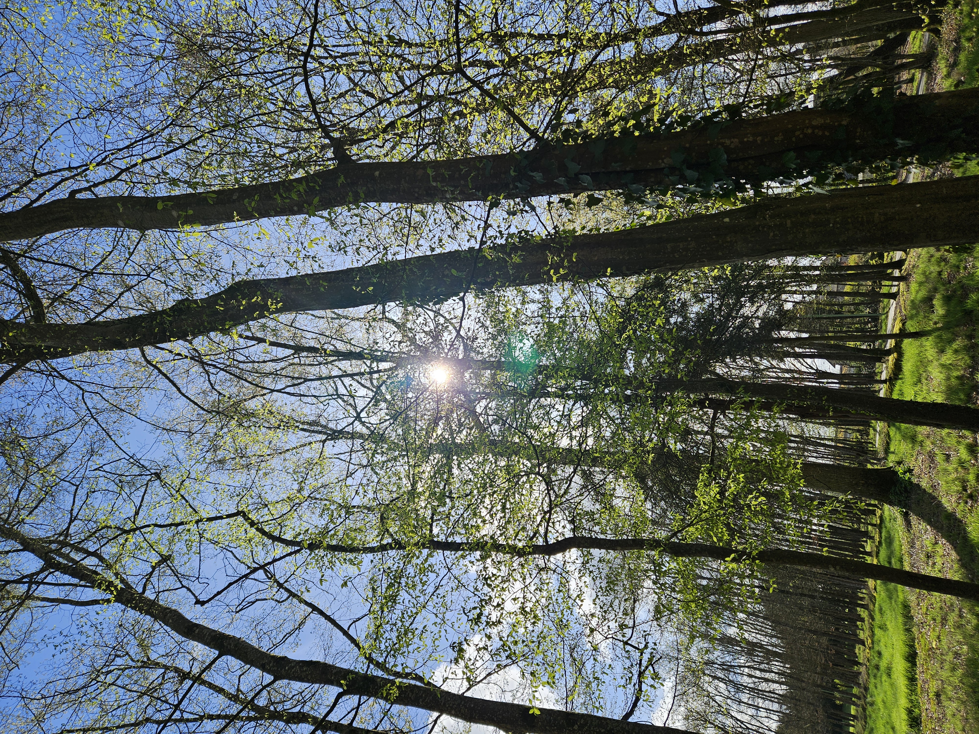 Sophrologue Saint-Aubin-du-Pavail