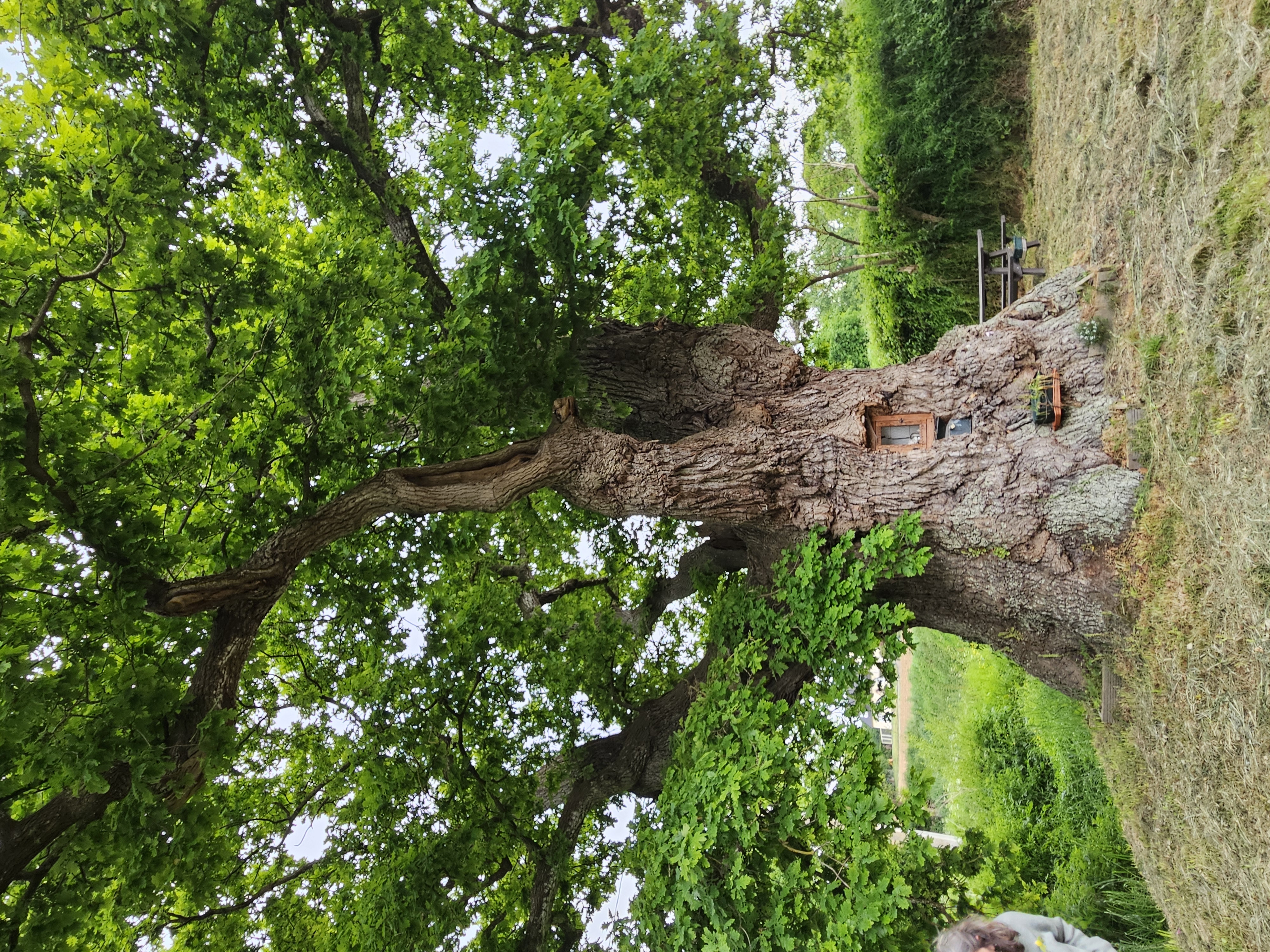 Sophrologue Marcillé-Robert