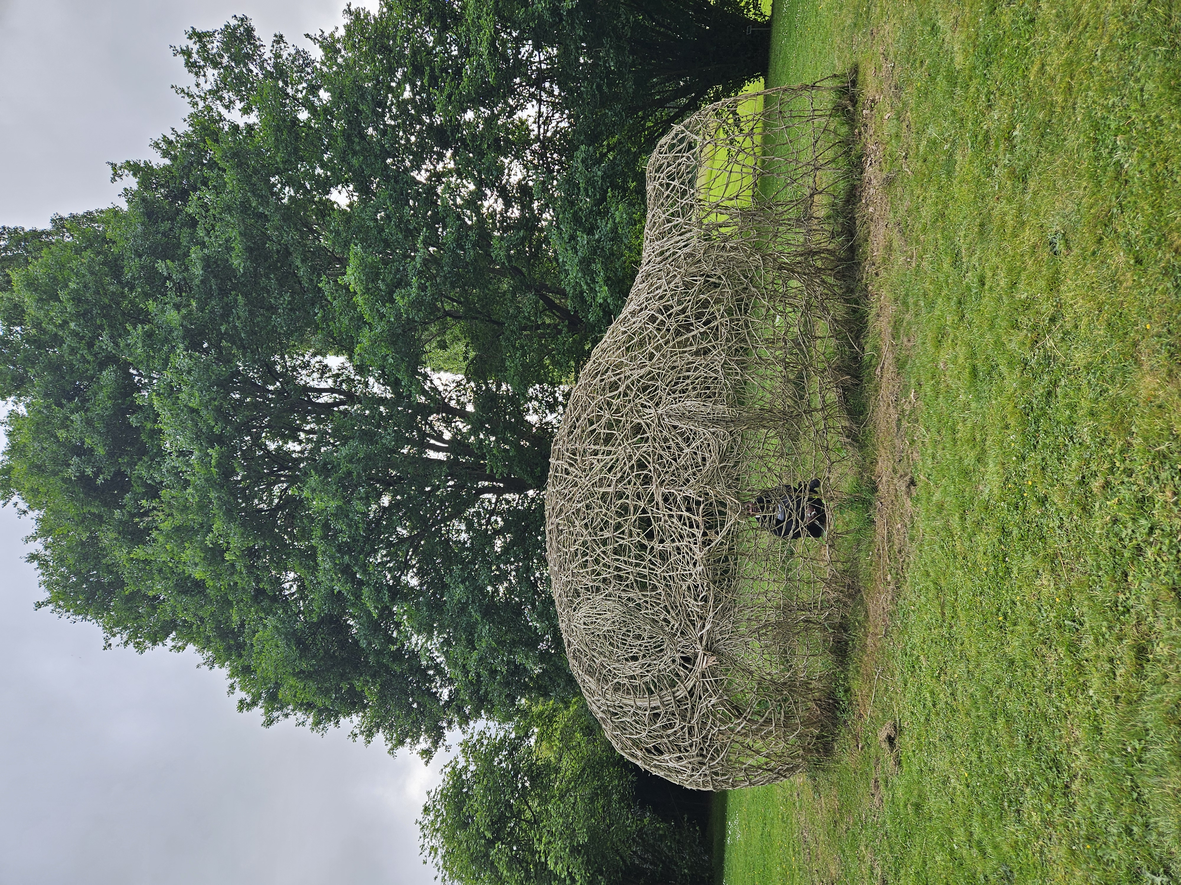 Sophrologie pour tous LouvignÃ©-de-Bais