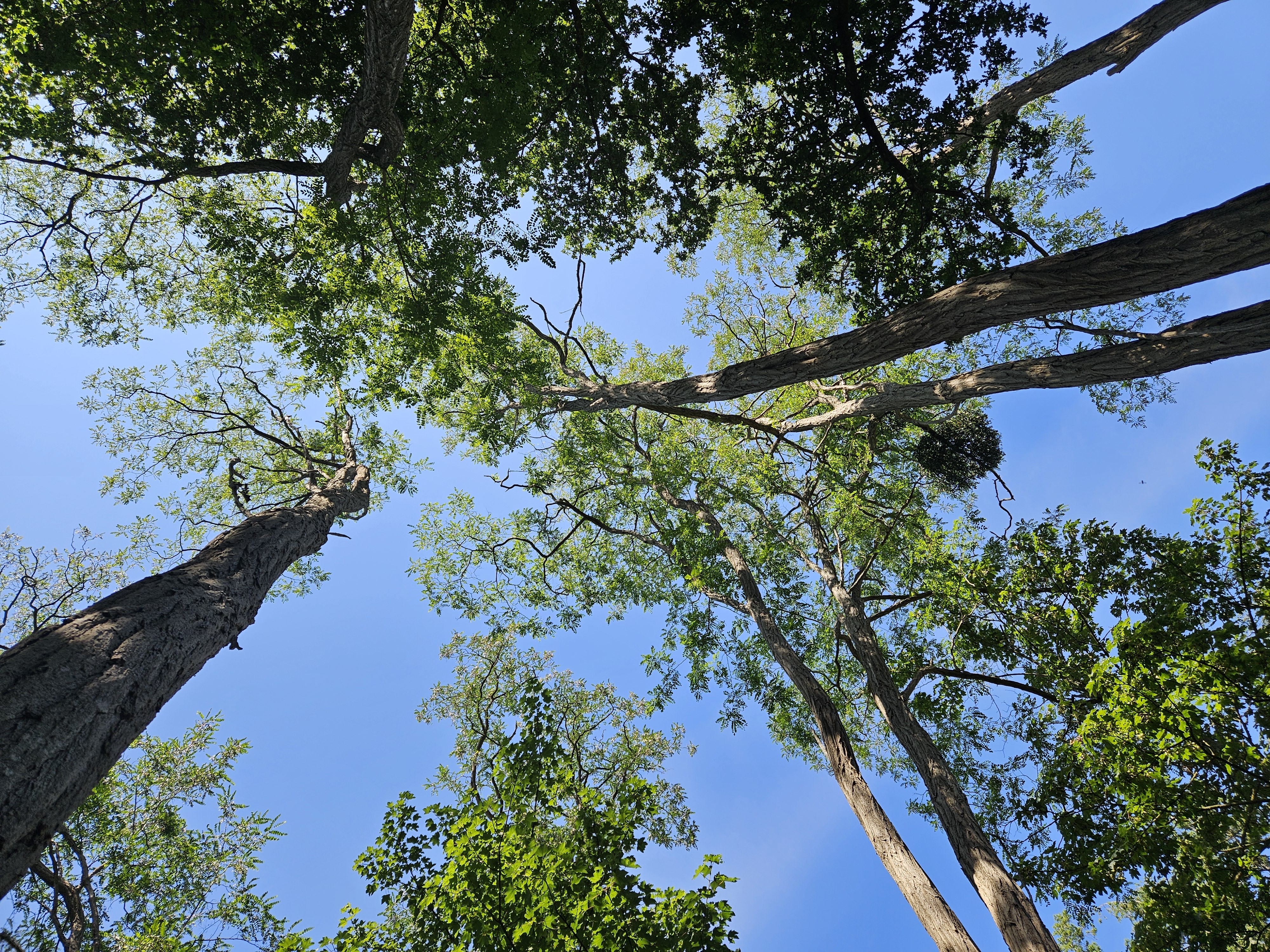 Cabinet de sophrologie proche Moulins ambiance zen