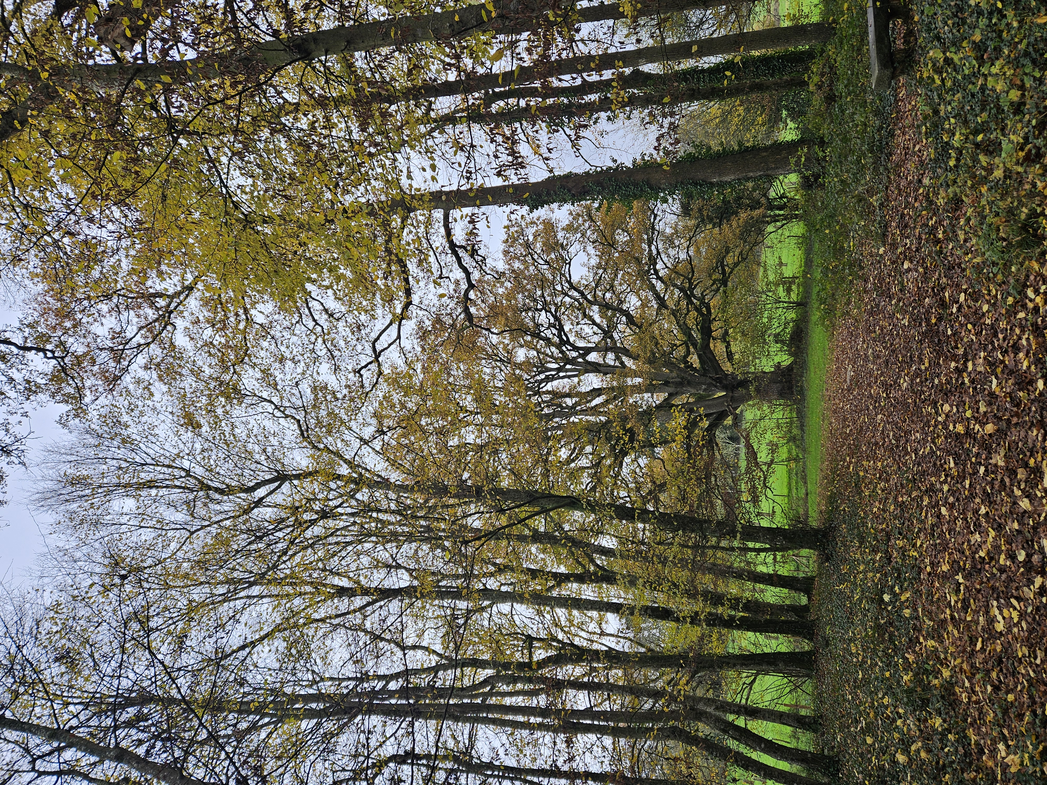 Cabinet sophrologue proche MarcillÃ©-Robert
