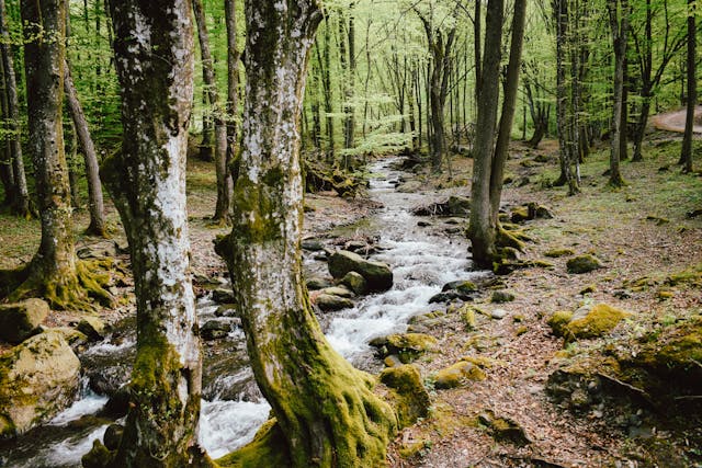 Sophrologie personnes âgées Piré-sur-Seiche